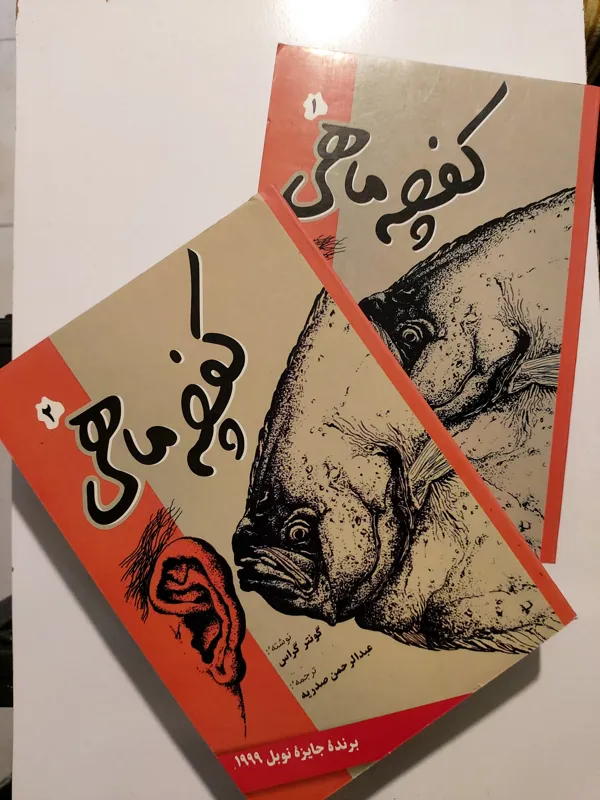 کفچه ماهی / گونتر گراس / عبدالرحمن صدریه