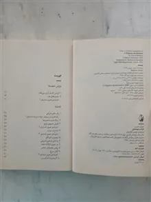 ظرافت