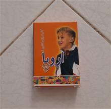 فلش