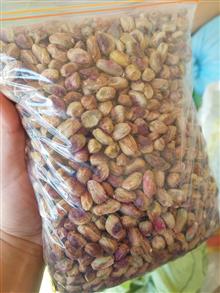 مغز