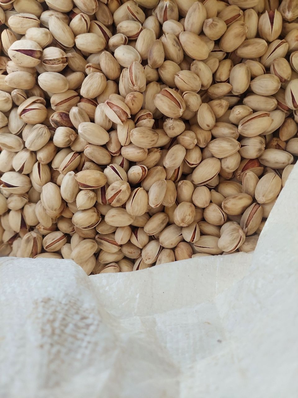 پسته کله قوچی دستچین یک کیلویی