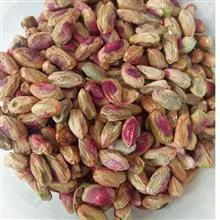 مغز