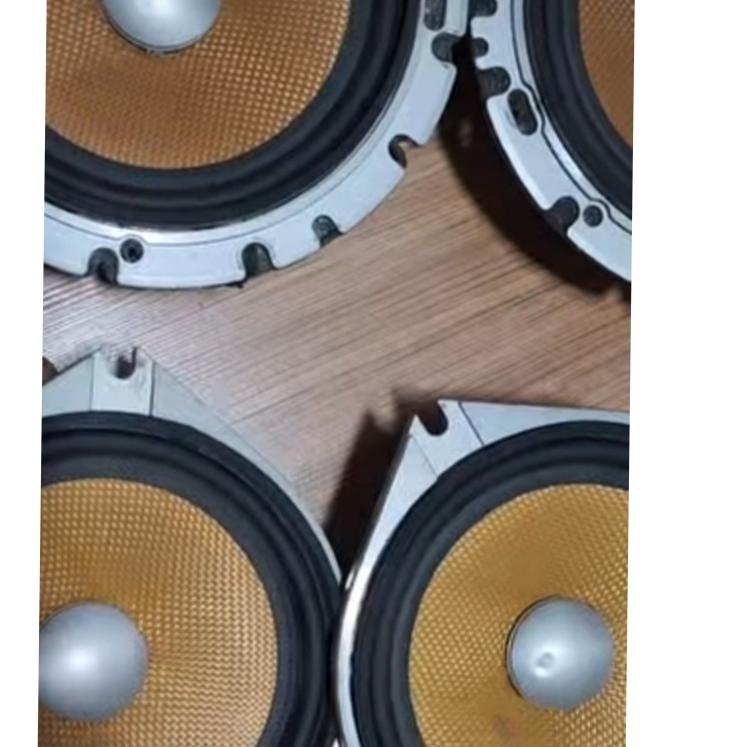 کامپونت پایونیر کارازریا