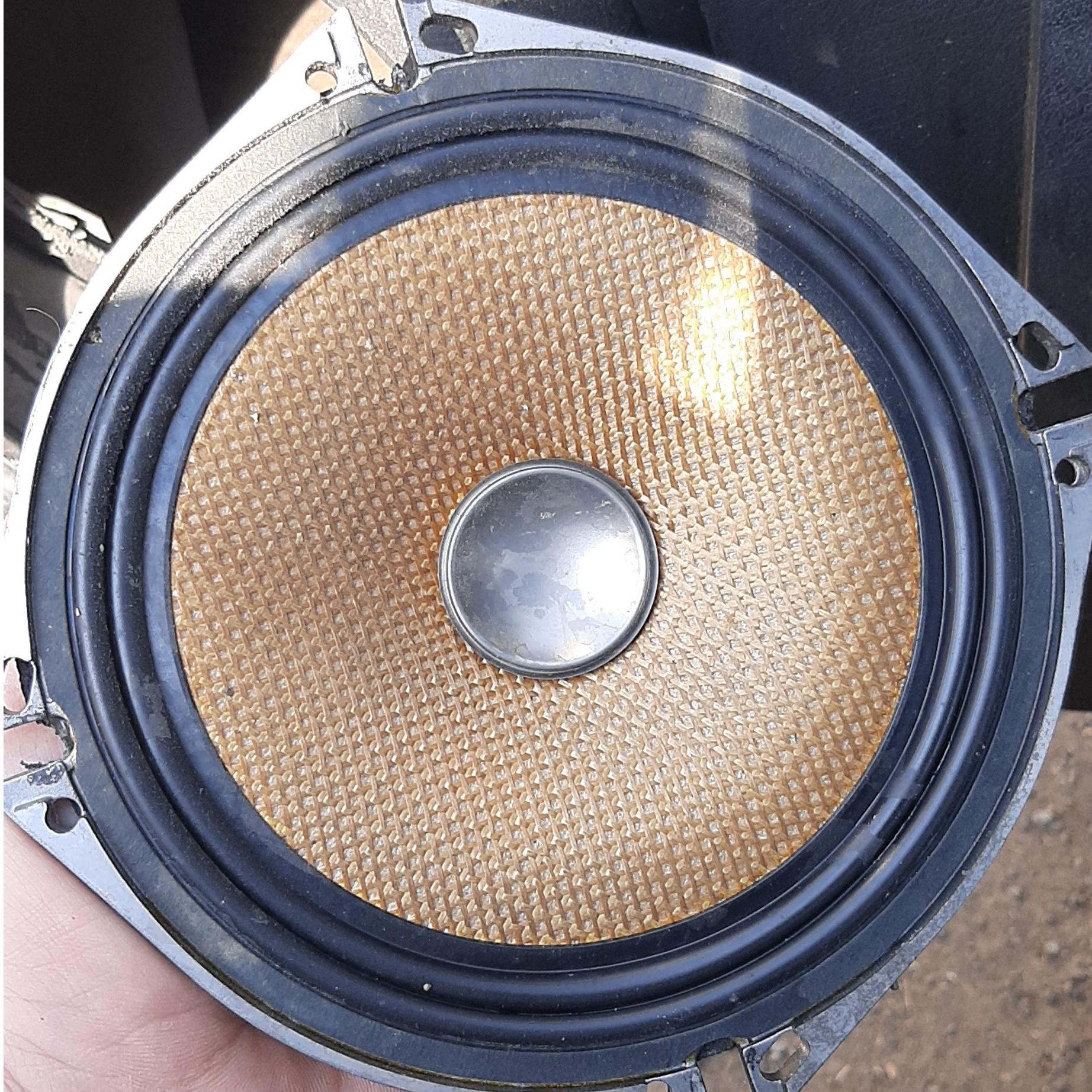 کامپونت پایونیر کارزریا