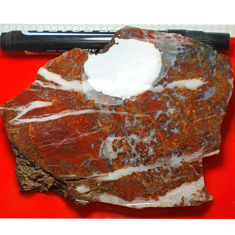 اسلایس عقیق بزرگ شجر اتشی نفیس و چشم نواز