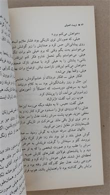 تربیت