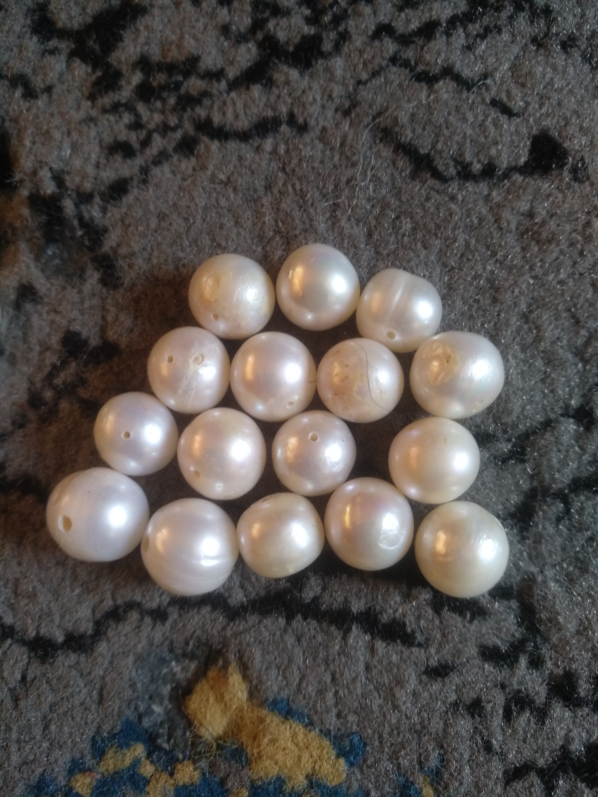 دو عدد مروارید پرورشی طبیعی کلکسیونی