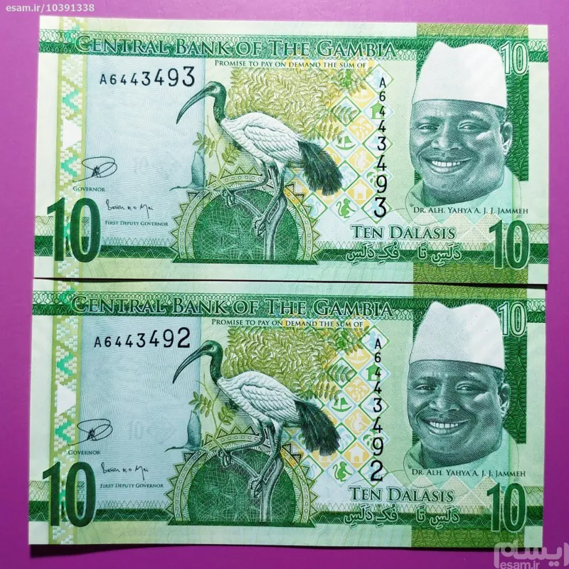 اسکناس (جفت بانکی) زیبا و کمیاب 10 دالاسیس گامبیا