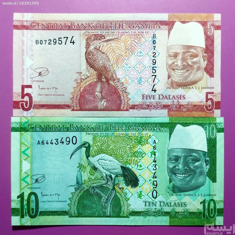 اسکناس ست بانکی زیبا و کمیاب 5 و10 دالاسیس گامبیا
