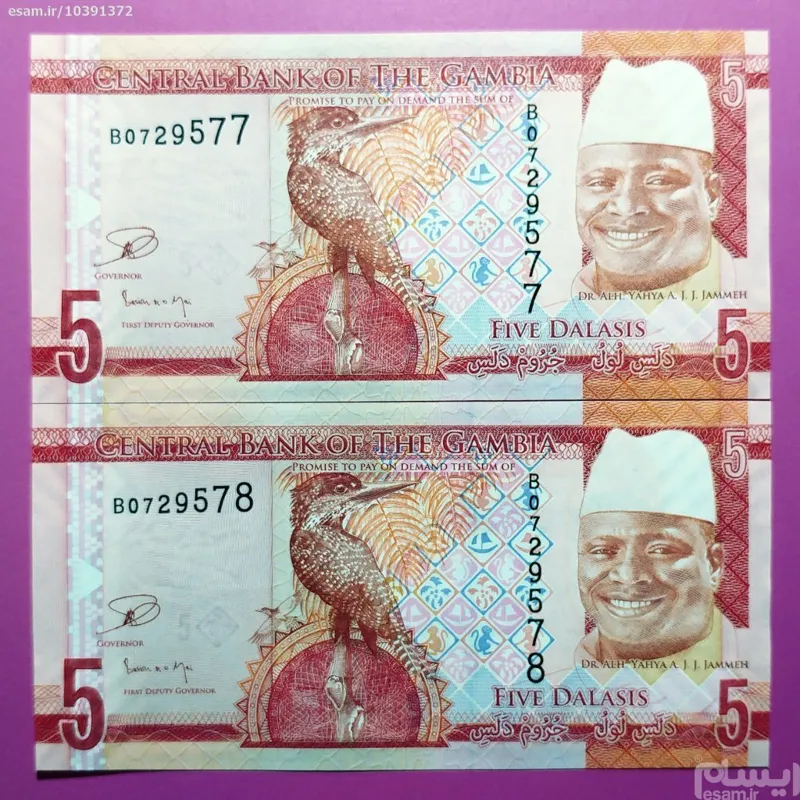 اسکناس (جفت بانکی) زیبا و کمیاب 5 دالاسیس گامبیا