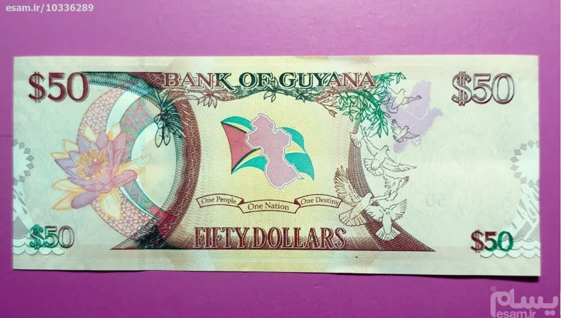 اسکناس (تک بانکی) زیبا و کمیاب 50 دلار کشور گویان