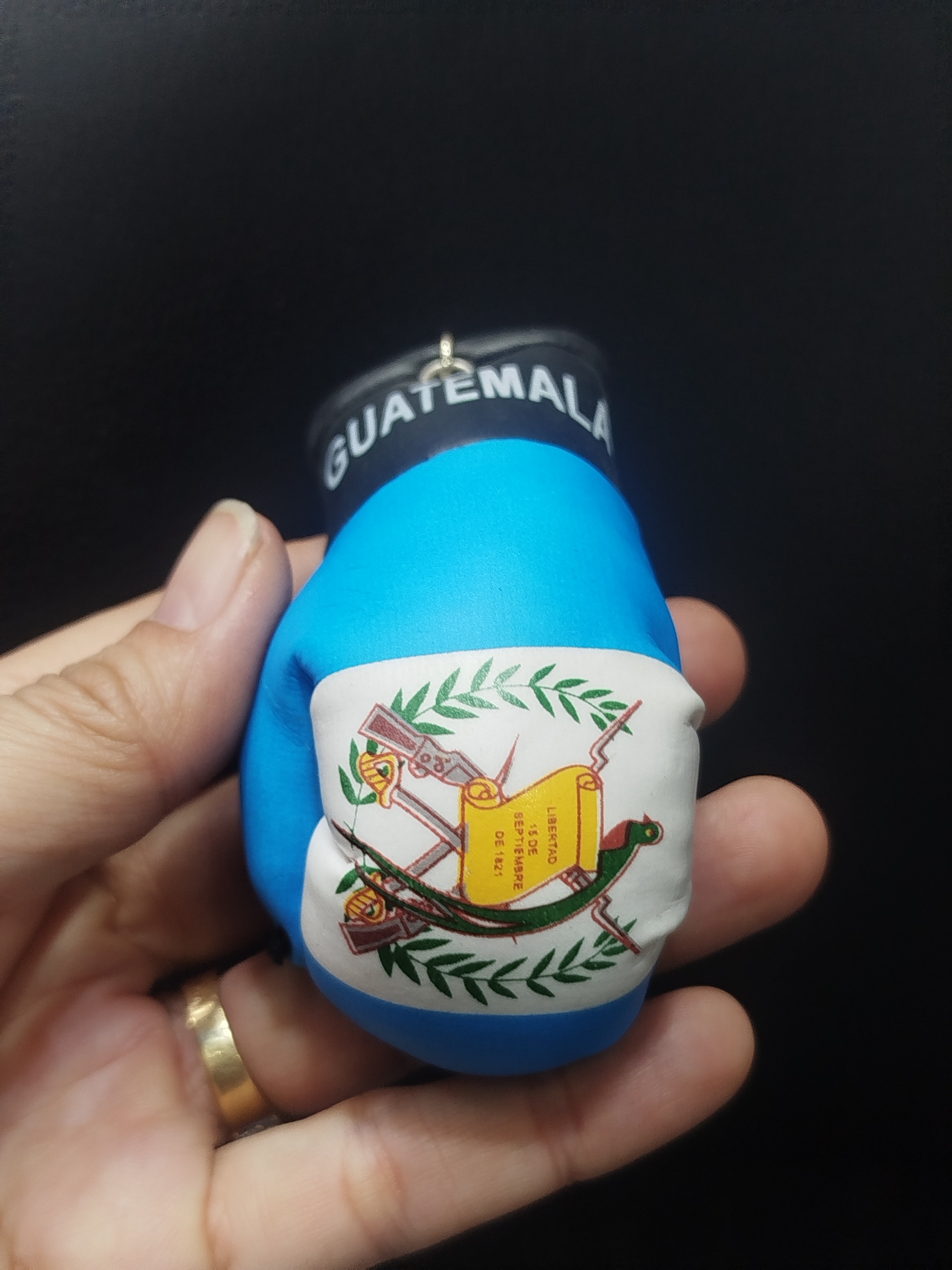 جا کلیدی دستکش بوکس