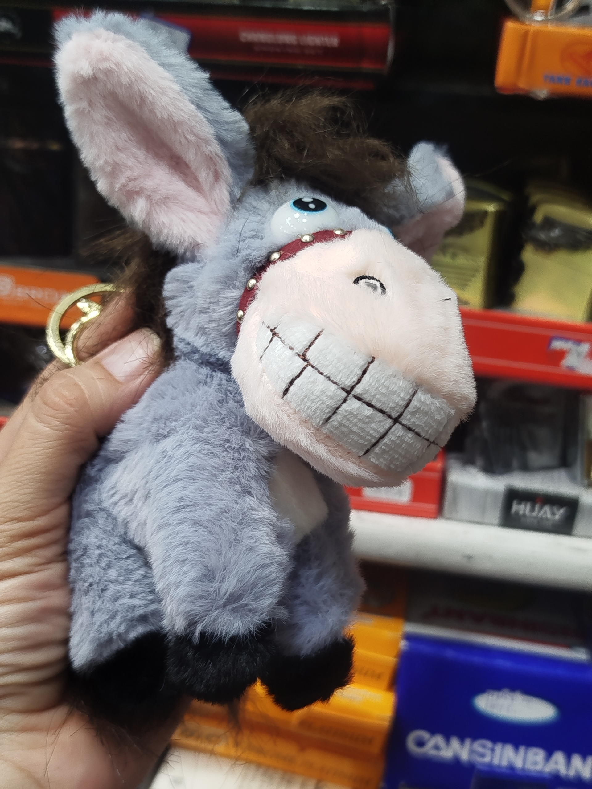 جا کلیدی الاغ بامزه