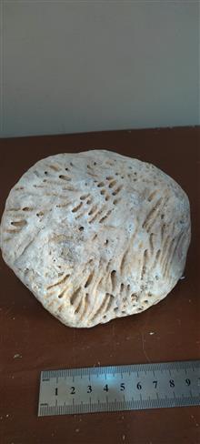 سنگ