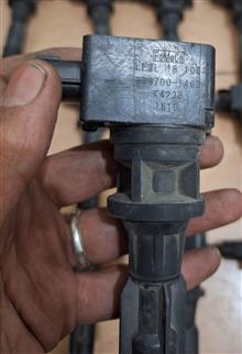 مزایده50عددکوئل