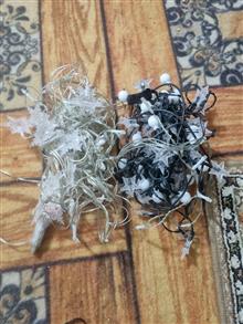 کلی