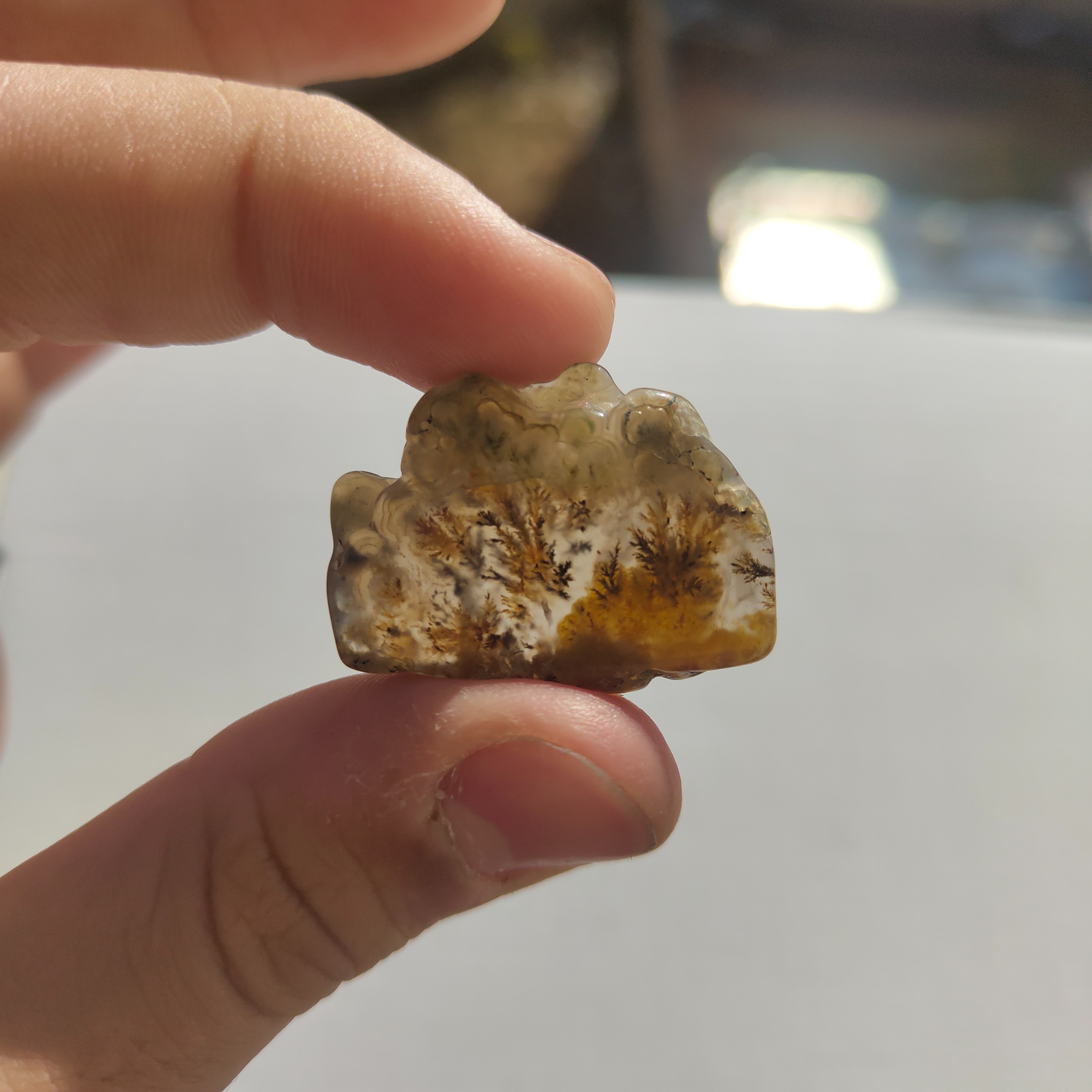 عقیق شجر زرد