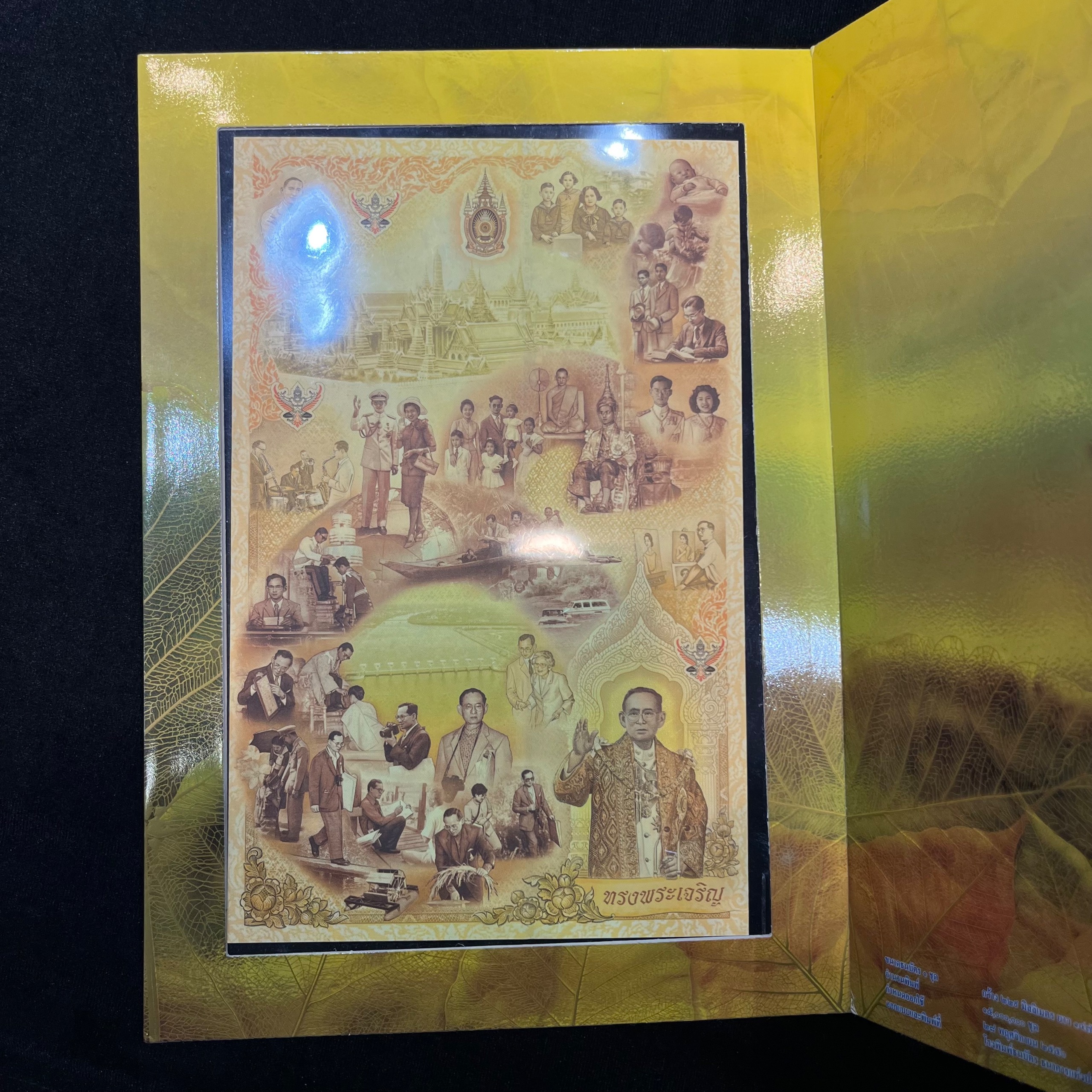 فولدر آنکات تایلند