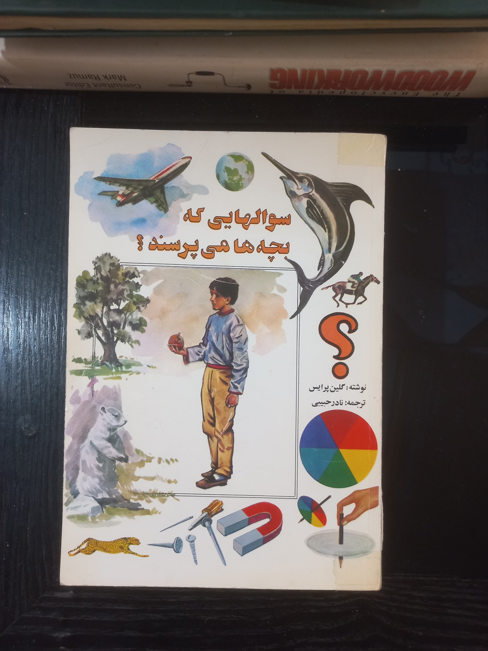 سوالهایی که بچه ها می پرسند / گلین پرایس