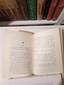 ماجراجوی