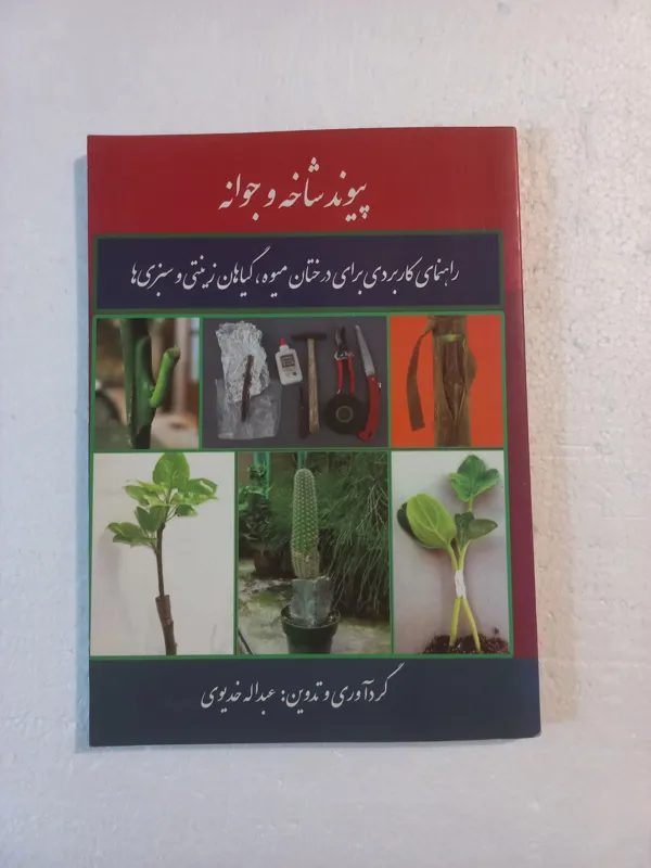 پیوند شاخه و جوانه برای درختان میوه