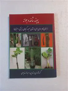 پیوند