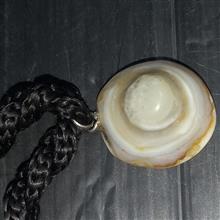 گردنیقدمتدار