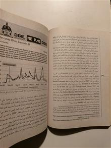 بخارا