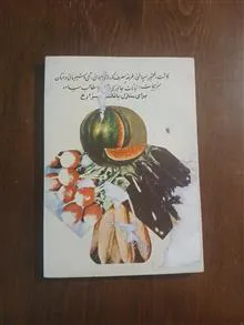 راهنمای