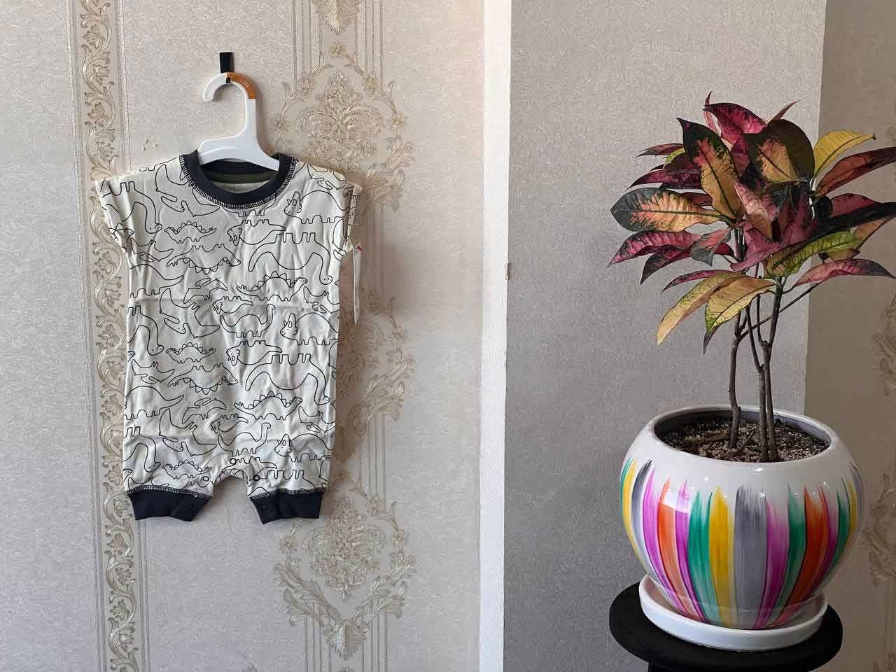 دو عدد سرهمی 6-9 ماهه