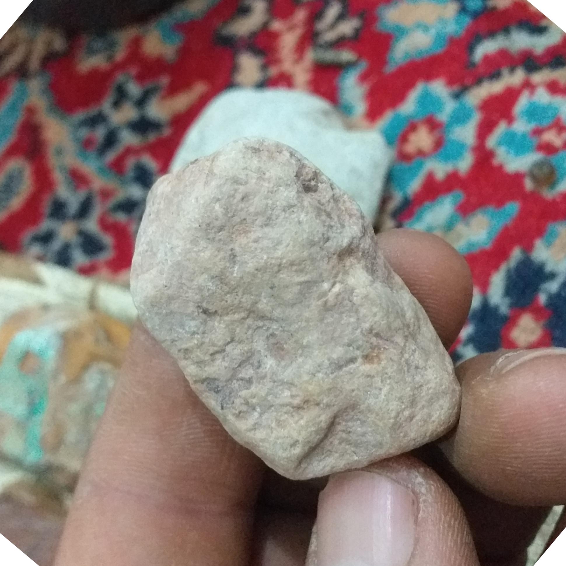 سنگ فسیل وقدیمی