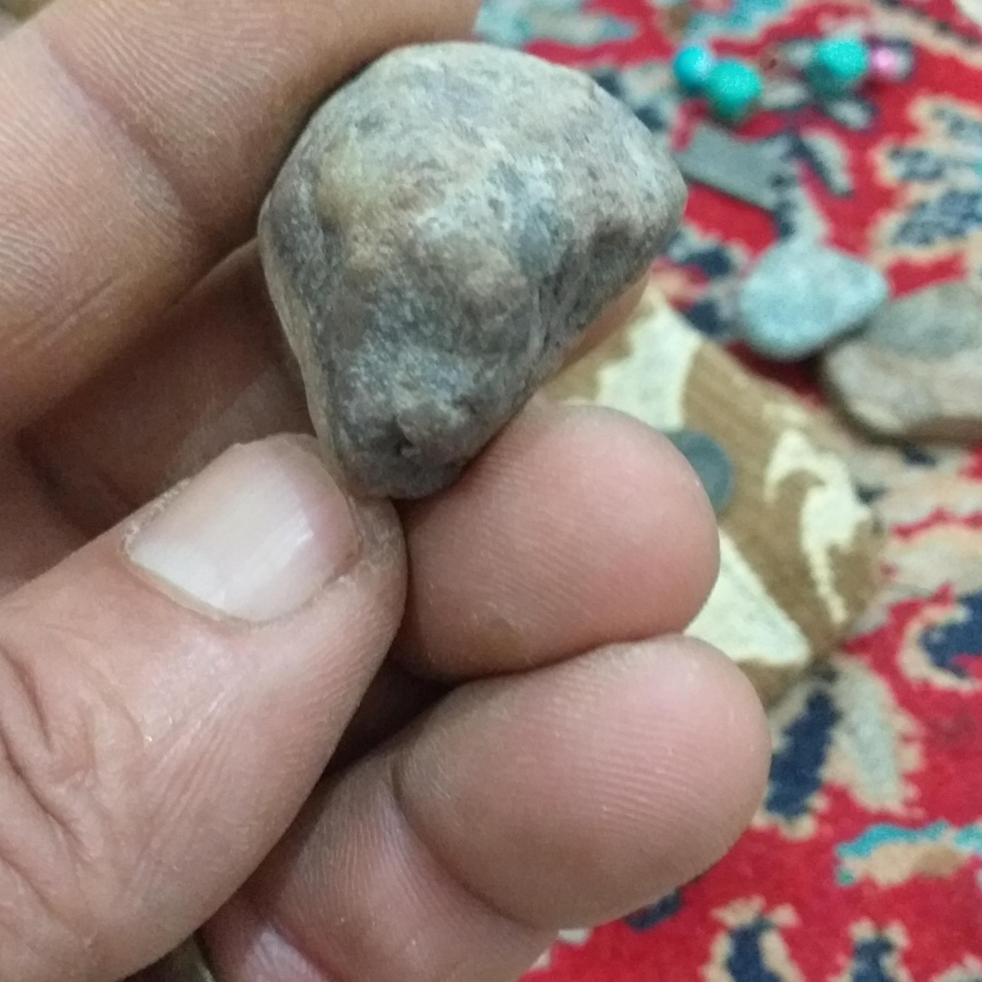 سنگ فسیل وقدیمی
