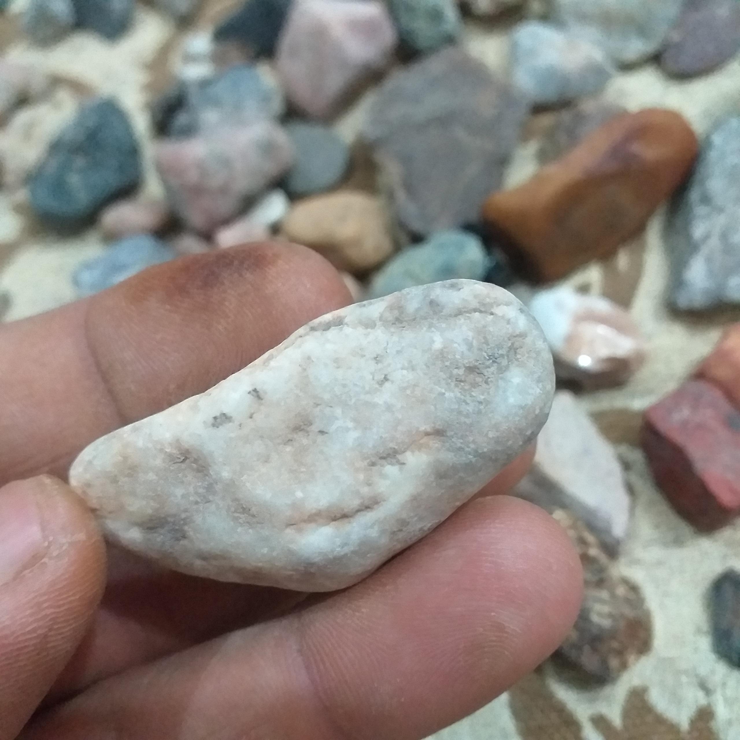 سنگ فسیل وقدیمی