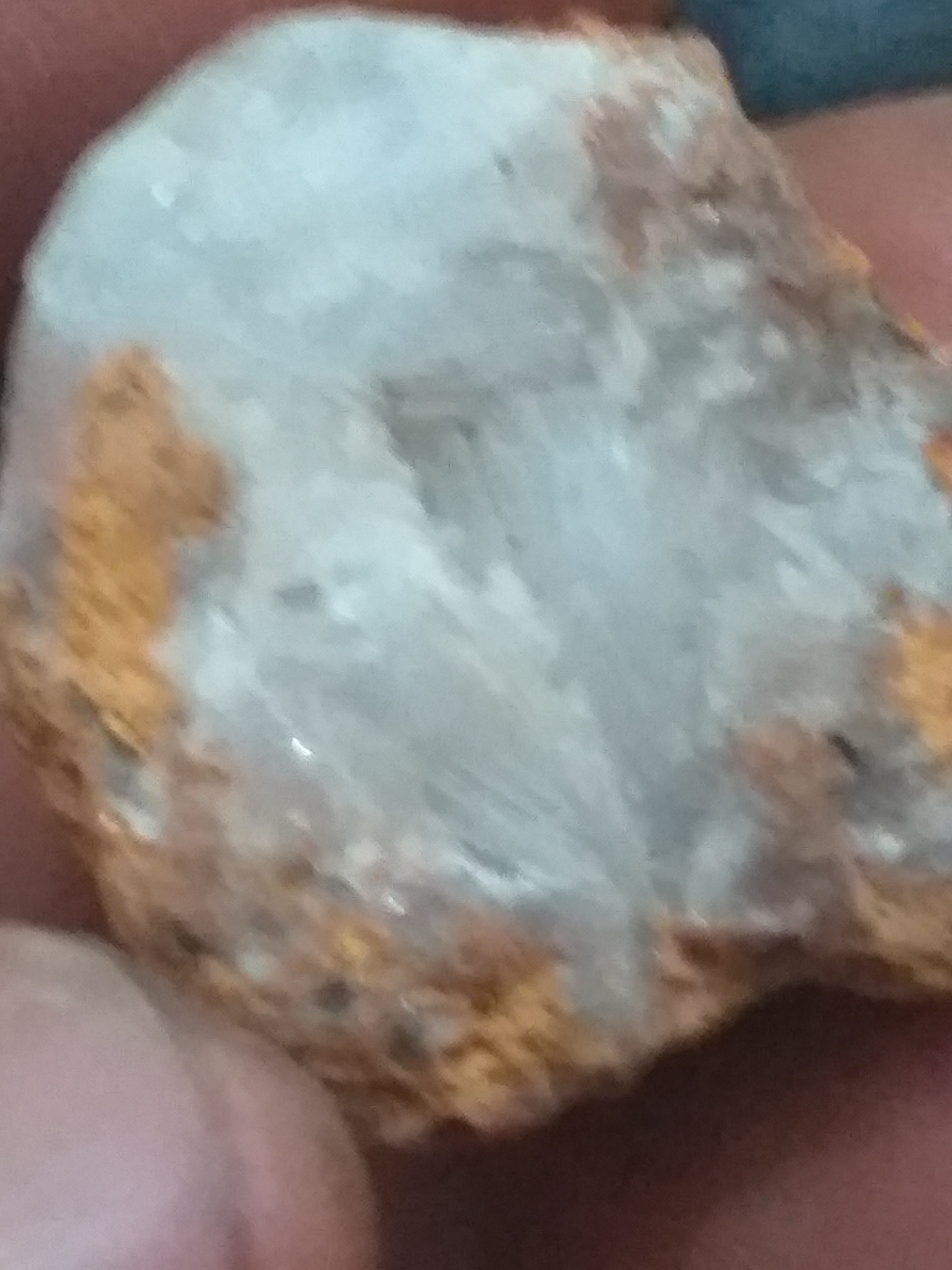 سنگهای قدیمی فسیل