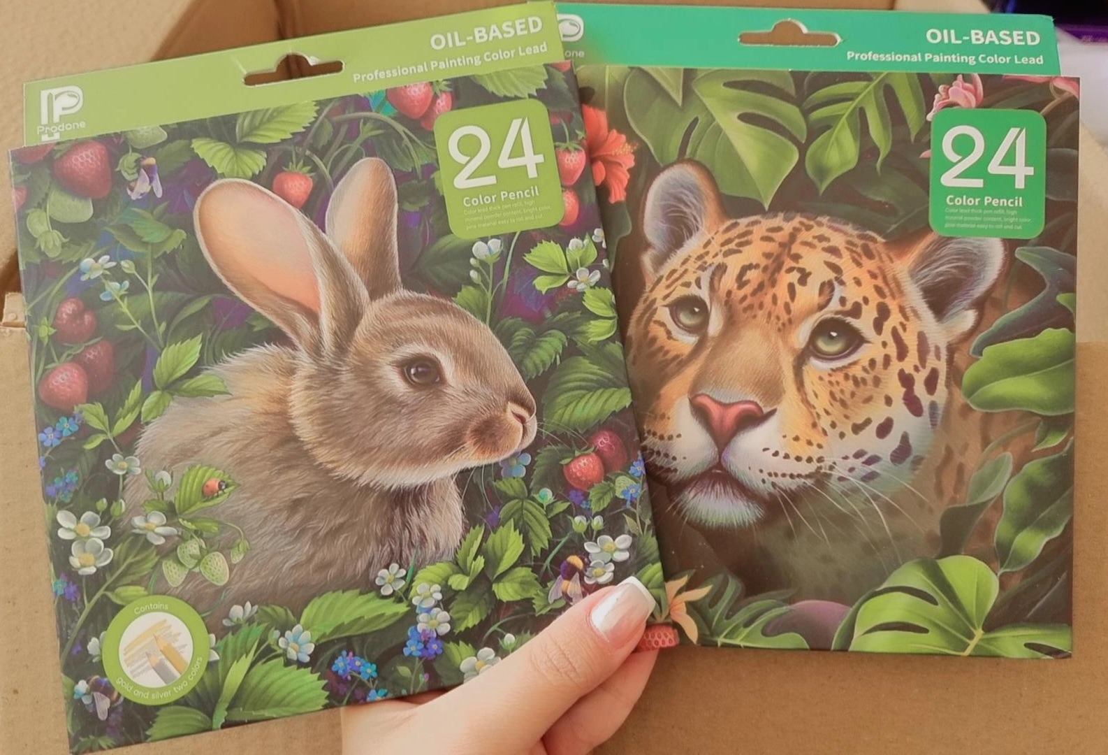 مدادرنگی پردون 24 رنگ