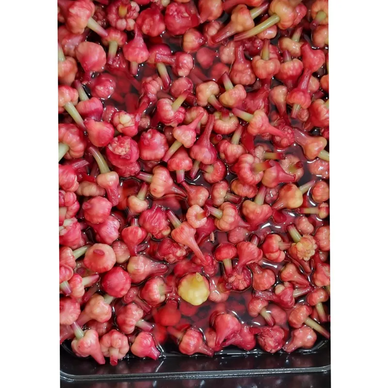 ترشی گل سیر آب اناری قرمز درجه یک