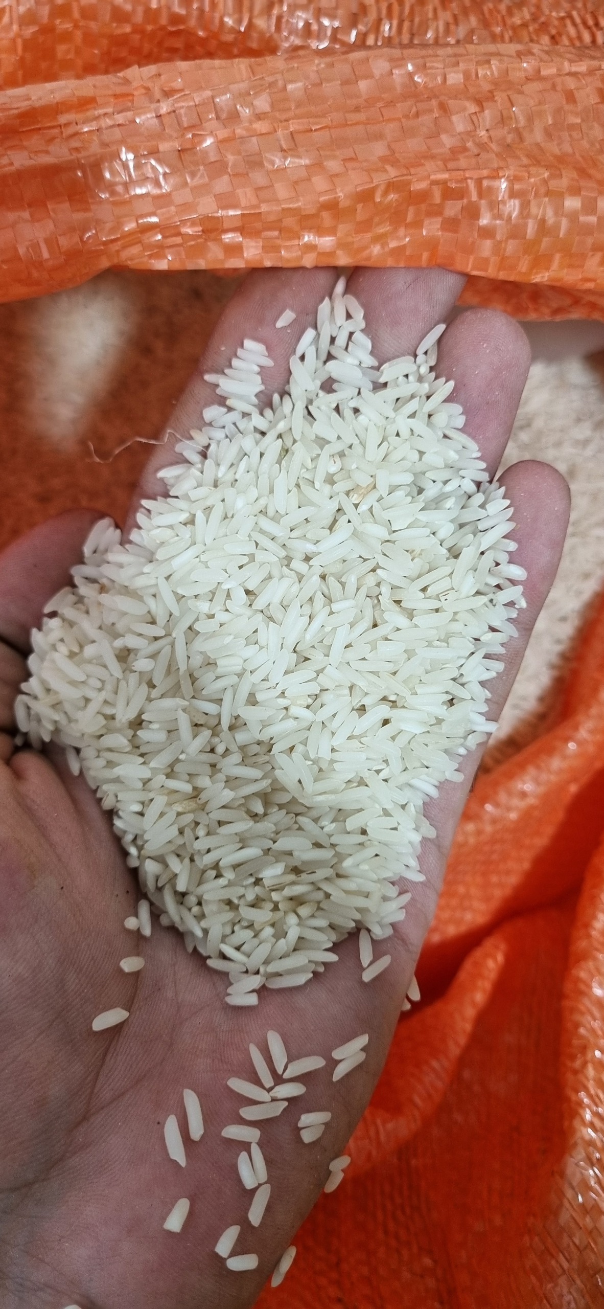 برنج هاشمی درجه یک اعلا امساله
