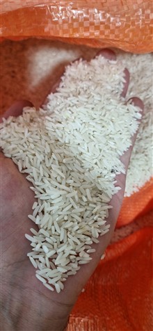 برنج