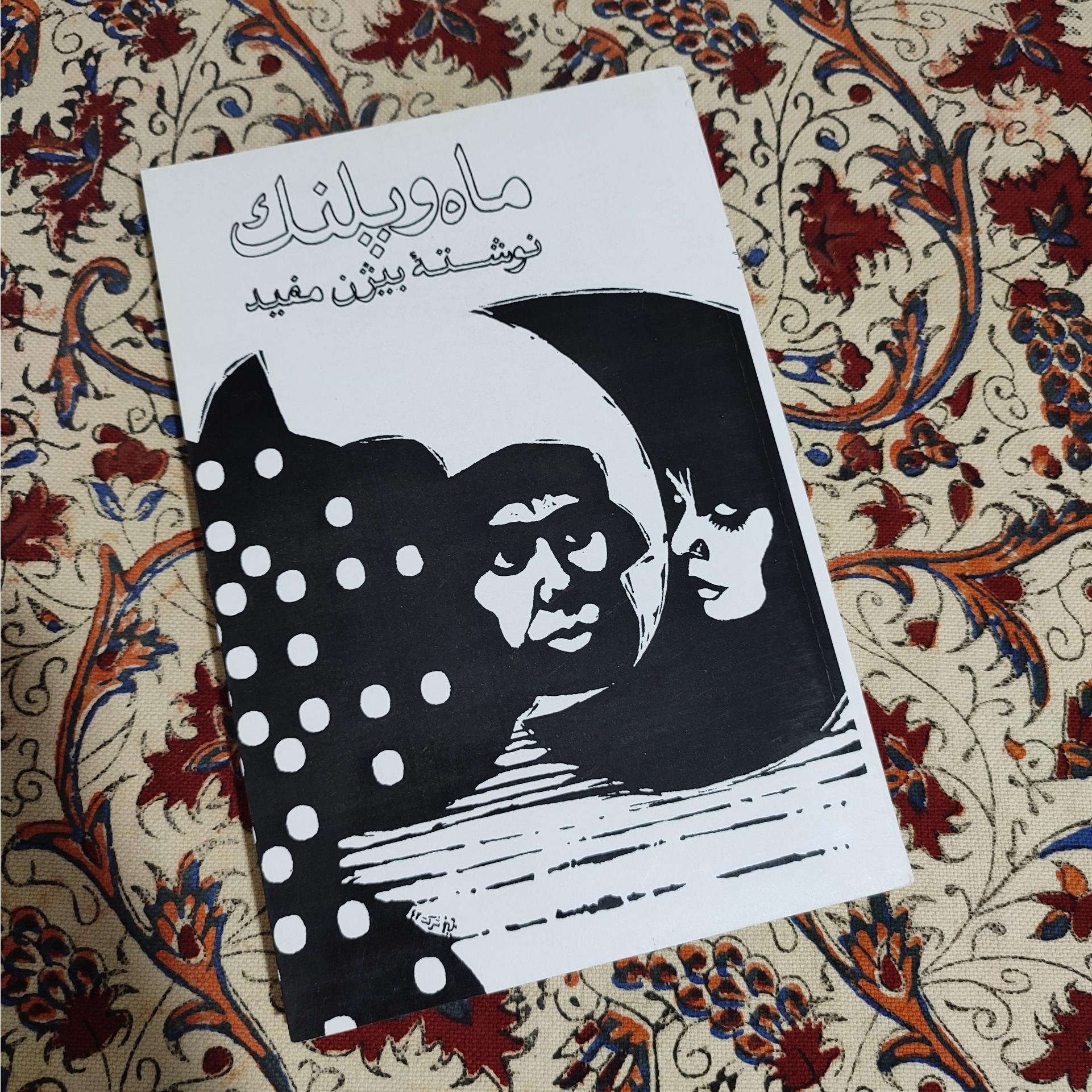 ماه و پلنگ بیژن مفید