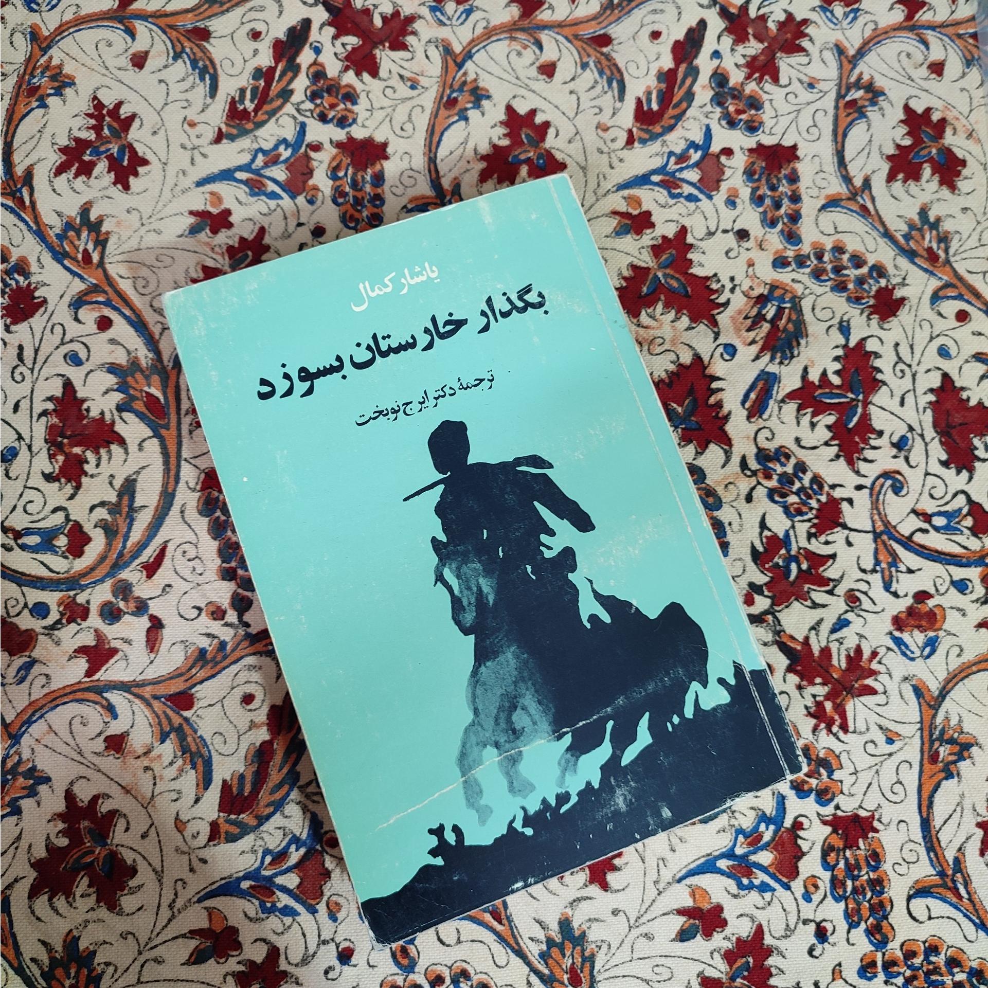 یاشار کمال ، بگذار خارستان بسوزد