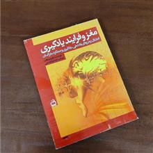 مغز
