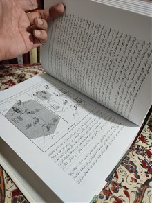 بیداری