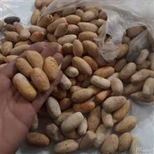 پخش