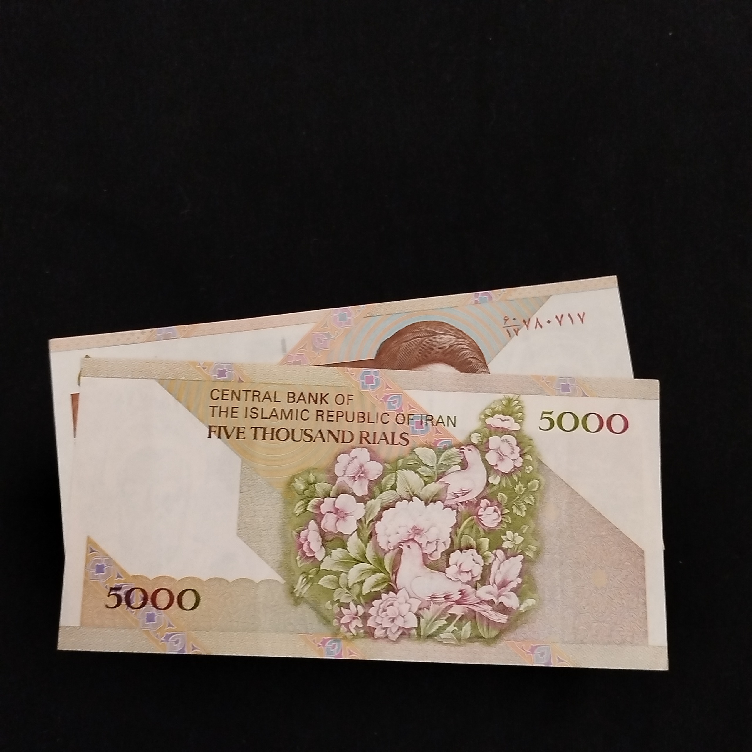 اسکناس 5000 ریالی گل وبلبل مظاهری شیبانی