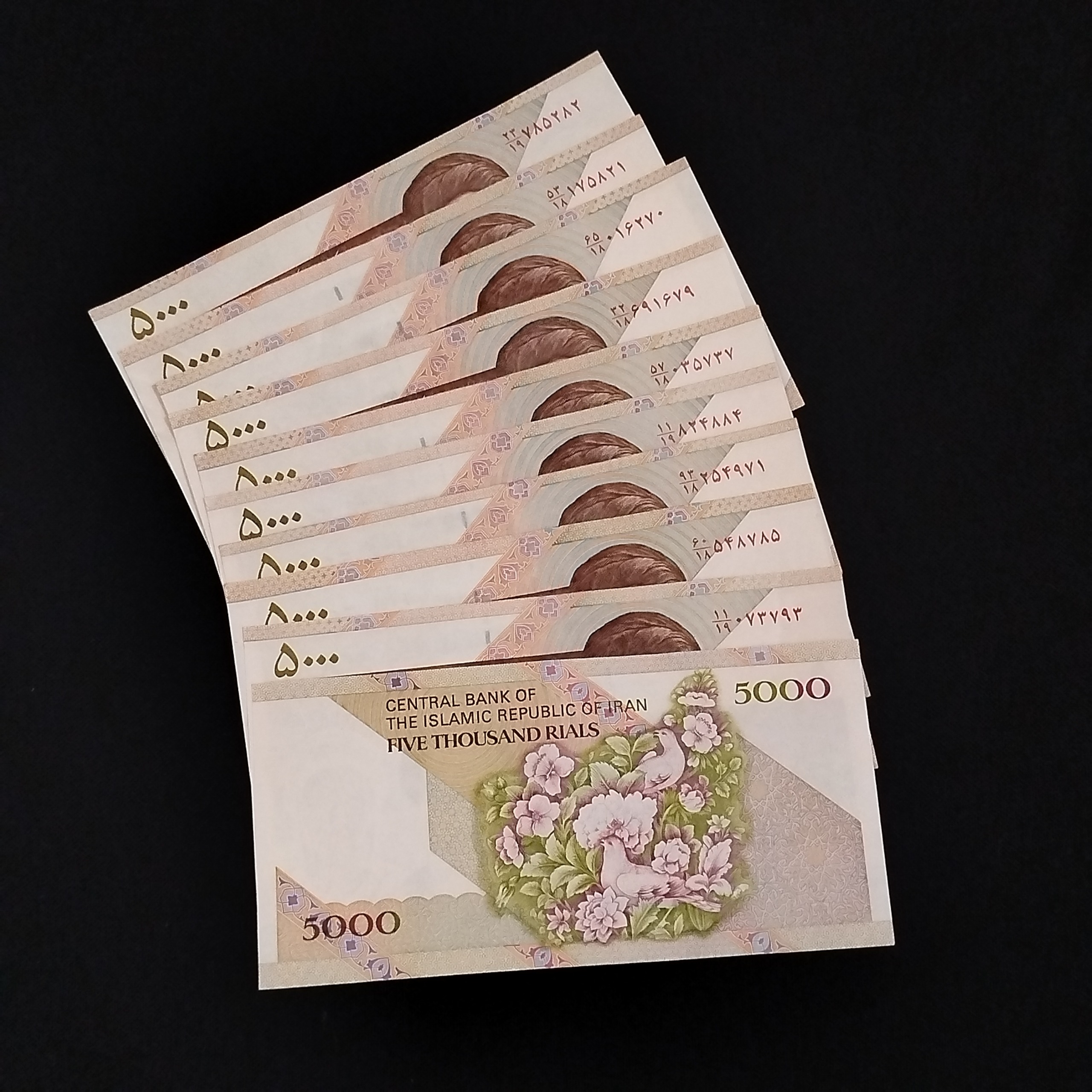 10برگ اسکناس 5000ریالی گل وبلبل دانش جعفری شیبانی
