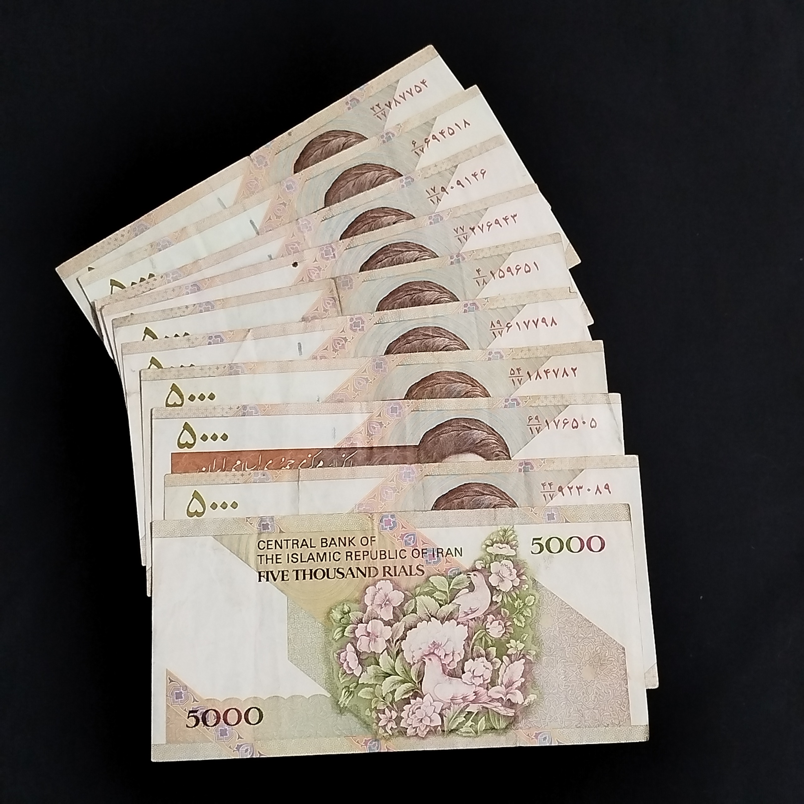 10برگ اسکناس5000ریالی گل وبلبل مظاهری شیبانی