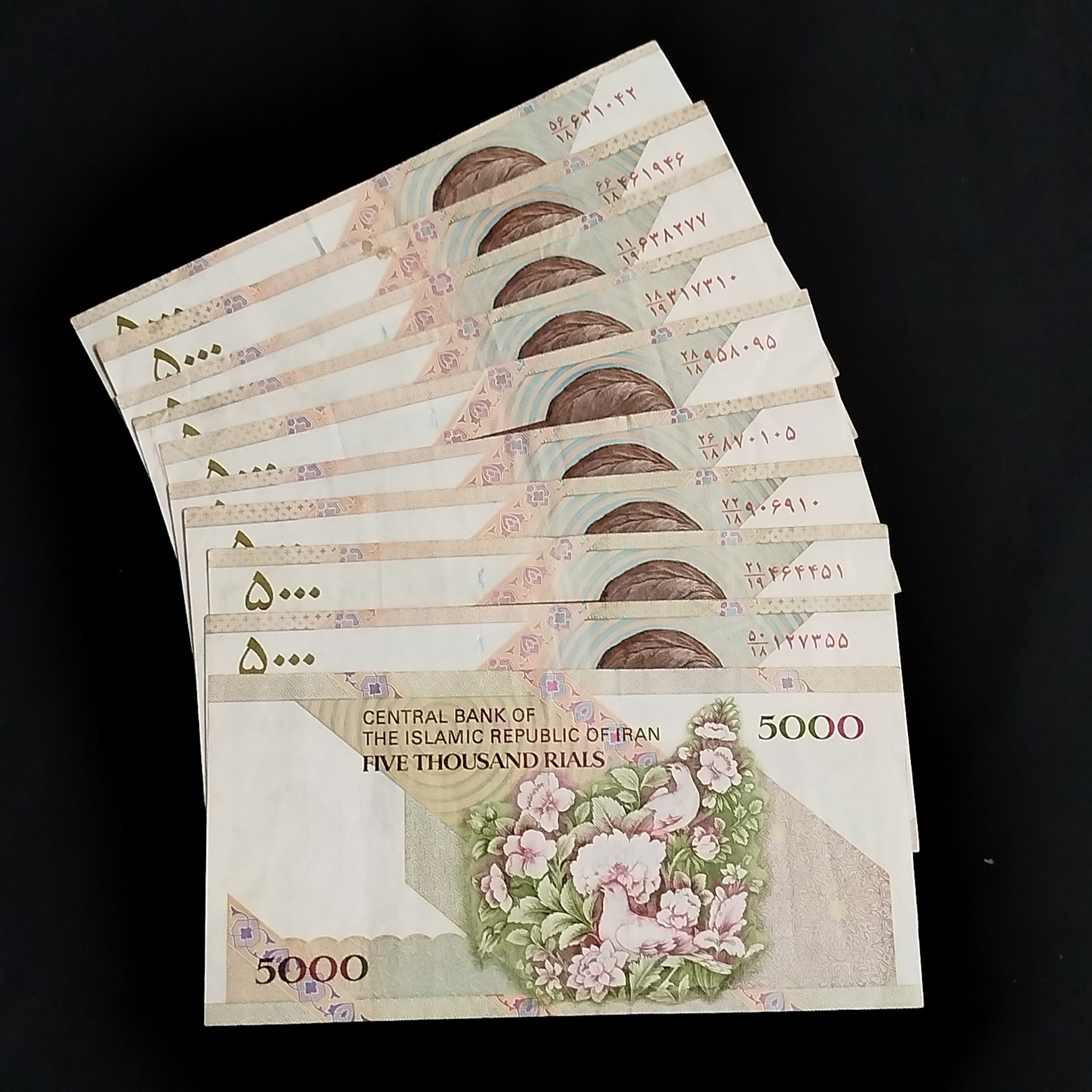 10برگ اسکناس5000ریالی گل وبلبل دانش جعفری شیبانی