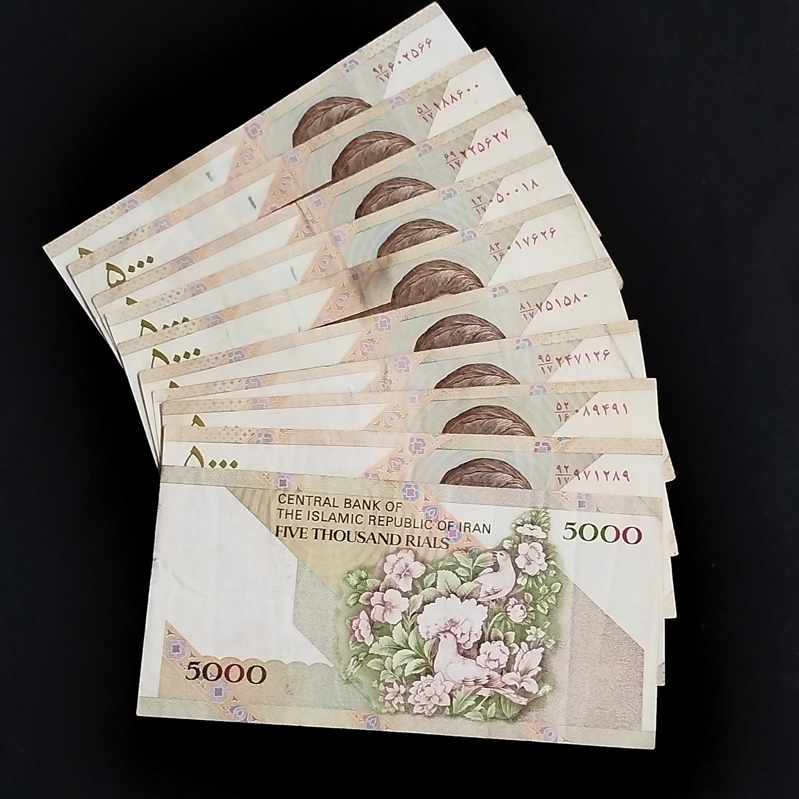 10برگ اسکناس5000ریالی گل وبلبل مظاهری شیبانی