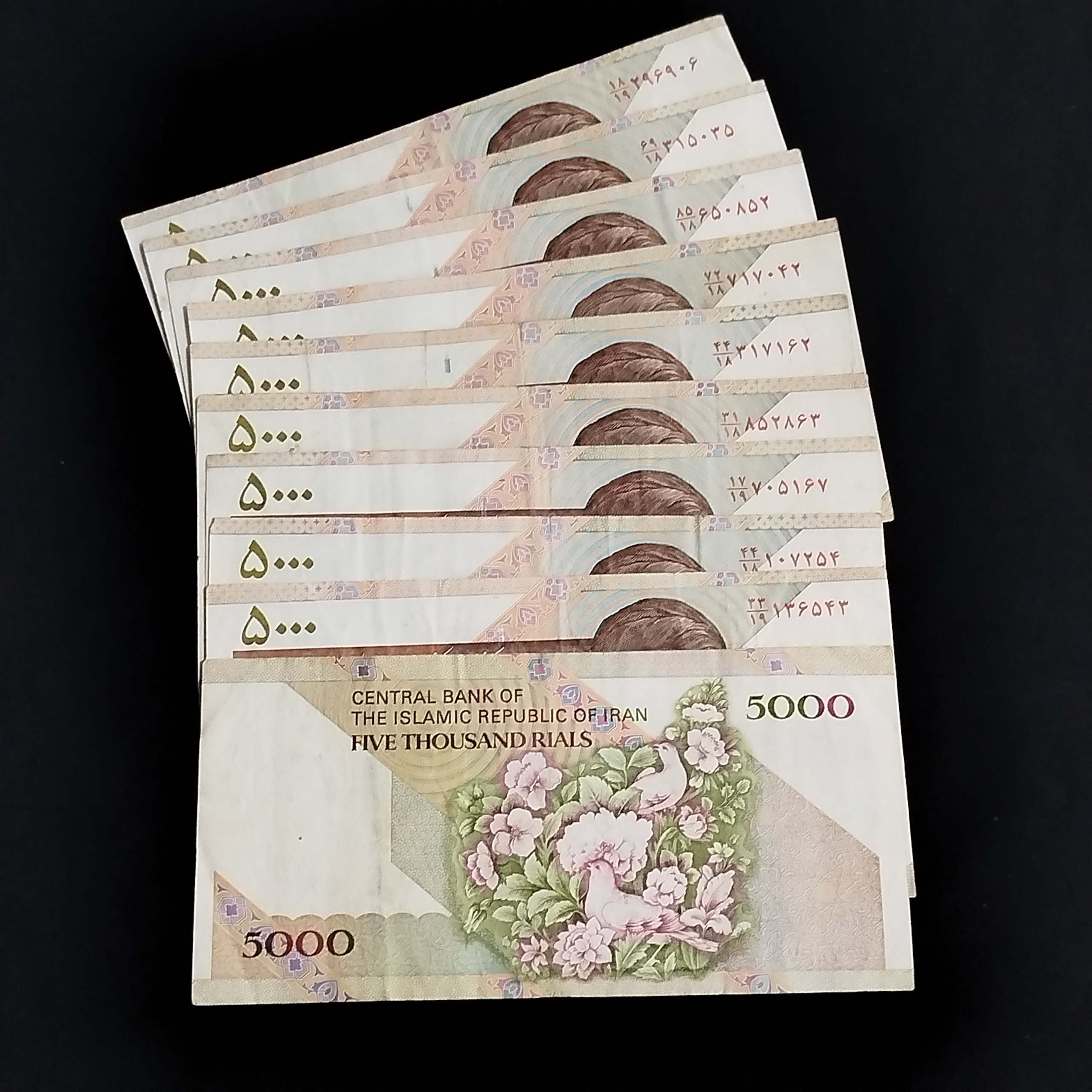 10برگ اسکناس 5000ریالی گل وبلبل دانش جعفری شیبانی