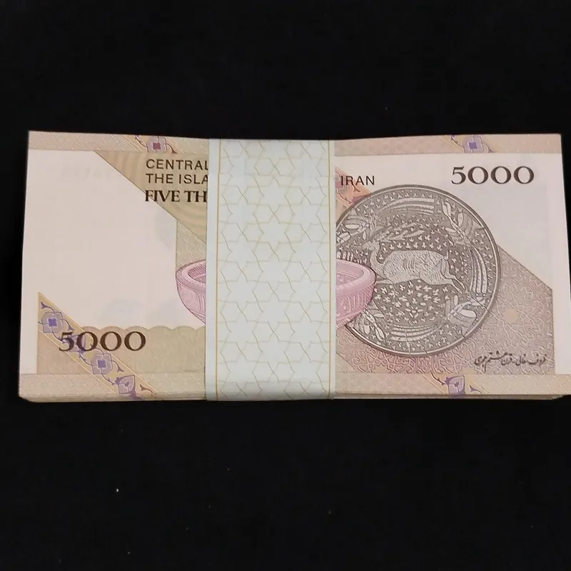 بسته اسکناس 5000 ریالی سفال